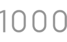 1000 Skis